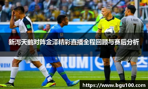 新泻天鹅对阵金泽精彩直播全程回顾与赛后分析